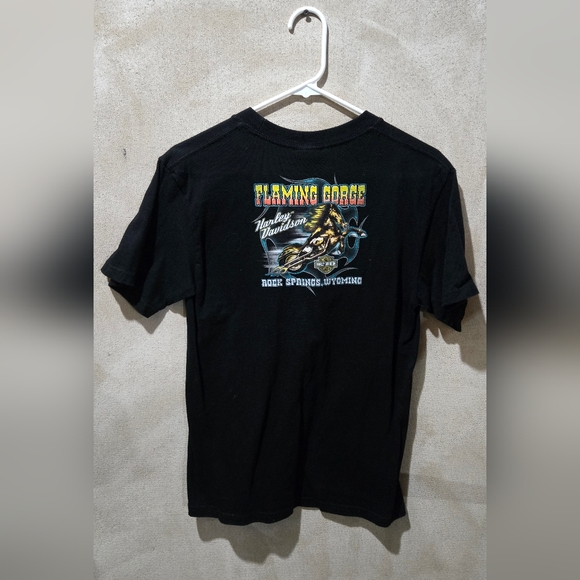 Harley Davidson Flaming Gorge Rock Springs, Wyoming 2003 Large Vtg - Picture 1 of 6